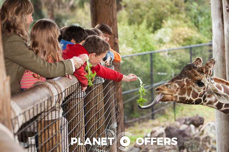Top Bank Holiday activities on Planet Offers right now!