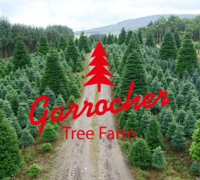 Garrocher Tree Farm - 6 ft Christmas Tree 