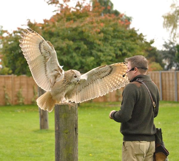 Baytree Owl & Wildlife Centre - Family Day Pass