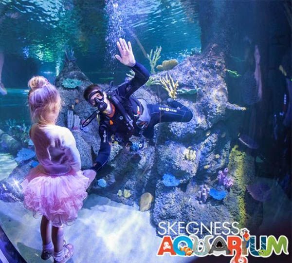 Skegness Aquarium - Family Pass 