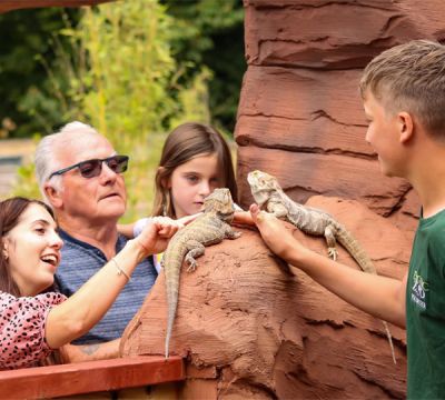 Exotic Zoo Wildlife Park - Family Pass
