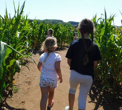 The Great Ryedale Maze – Family Ticket