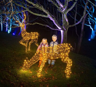 Light Up Hillier Gardens - Family and Adult Passes